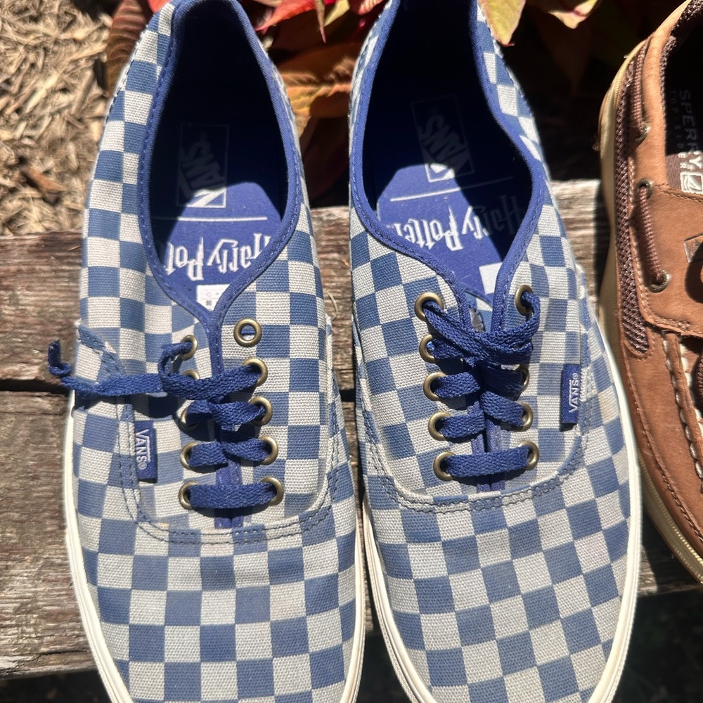 Warner Bros. Blue Checkered Men's Shoes